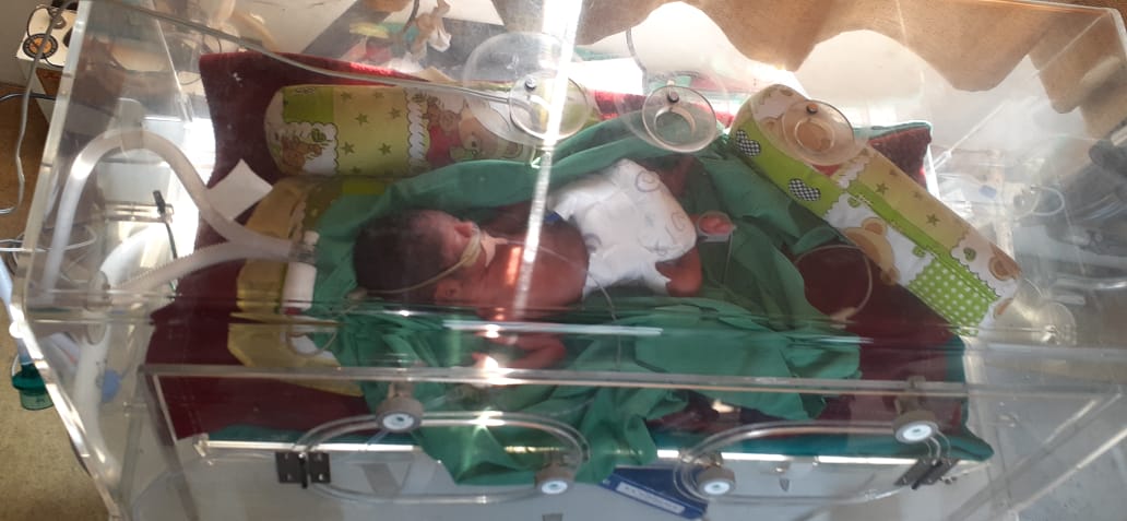 premature baby on incubator (4)