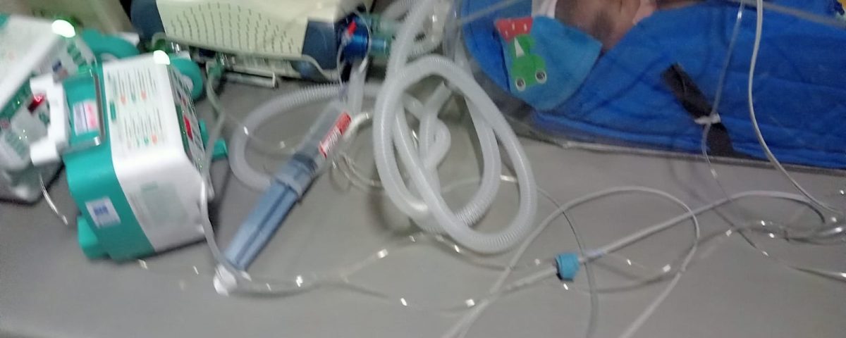 patna to delhi Image 2026-03-17 at 8.33.13 PM