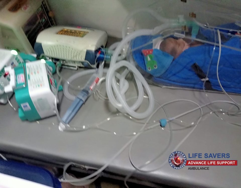 patna to delhi Image 2026-03-17 at 8.33.13 PM