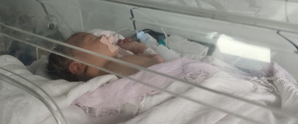 Micro-Preemie Image 2026-05-19 at 12.40.55 PM