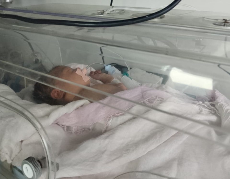 Micro-Preemie Image 2026-05-19 at 12.40.55 PM