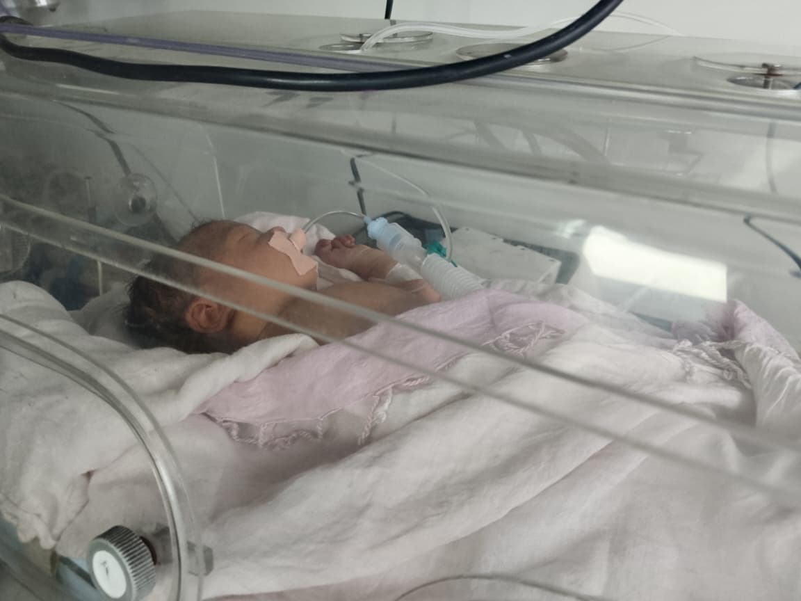 Micro-Preemie Image 2026-05-19 at 12.40.55 PM