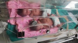 paediatric-ambulance-gwalior-to-delhi-Image-2025-07-24-at-5.28.53-PM